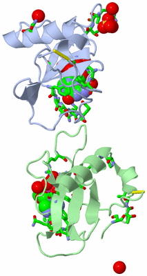 Image Asym./Biol. Unit - sites