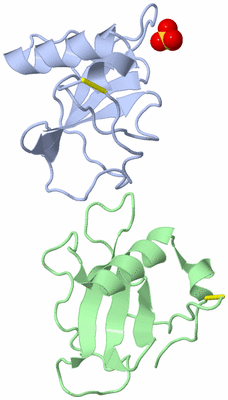 Image Asymmetric Unit