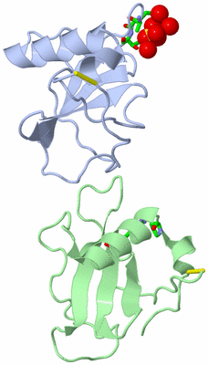 Image Asym. Unit - sites