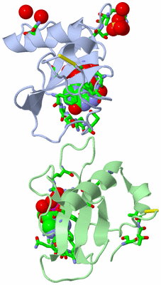Image Asym./Biol. Unit - sites