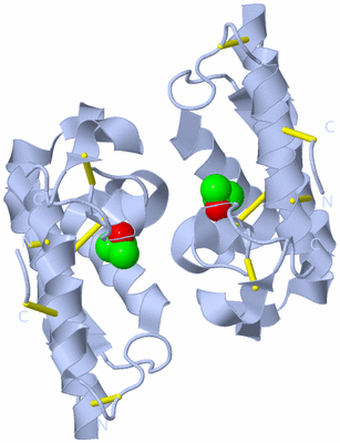 Image Biological Unit 1