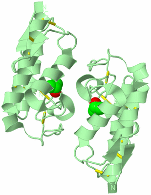 Image Biological Unit 2