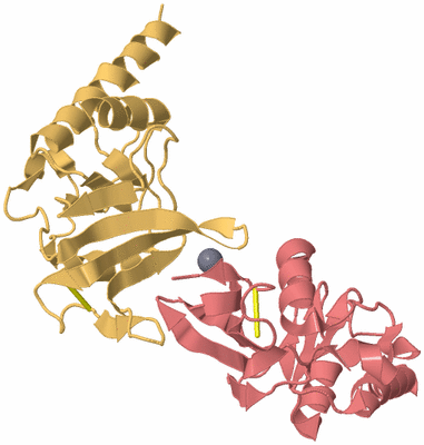 Image Biological Unit 4