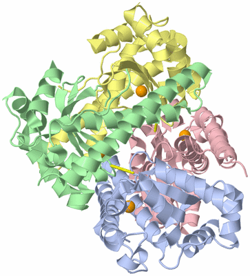 Image Biological Unit 1