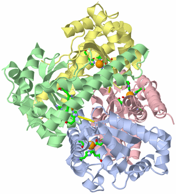 Image Biol. Unit 1 - sites