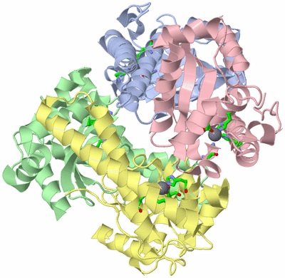 Image Asym./Biol. Unit - sites