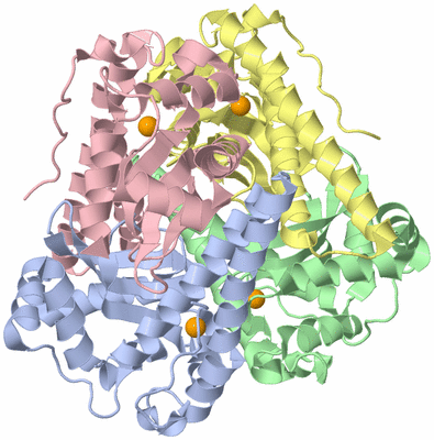 Image Asym./Biol. Unit