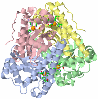 Image Asym./Biol. Unit - sites