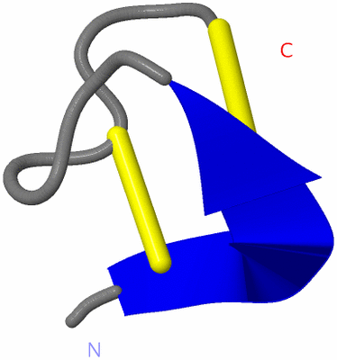 Image NMR Structure - model 1