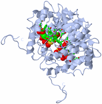 Image Biol. Unit 1 - sites