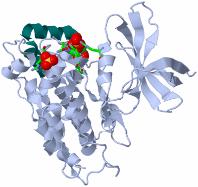 Image Biol. Unit 1 - sites