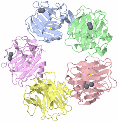 Image Biological Unit 1