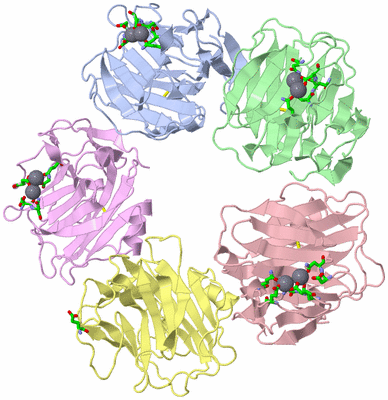 Image Biol. Unit 1 - sites