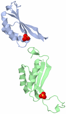 Image Asymmetric Unit