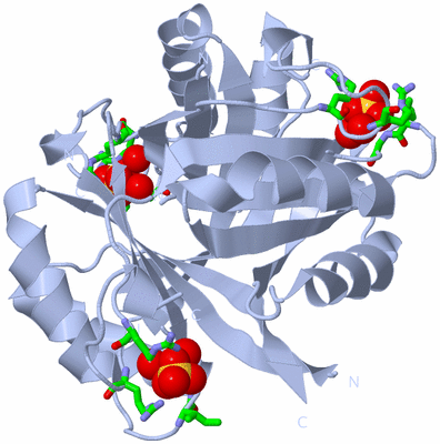 Image Biol. Unit 1 - sites