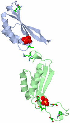 Image Asym. Unit - sites