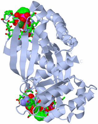 Image Biol. Unit 1 - sites