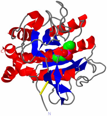 Image Asym./Biol. Unit