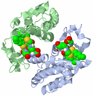 Image Asym./Biol. Unit