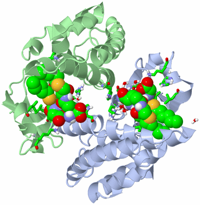 Image Asym./Biol. Unit - sites