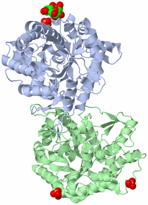 Image Asym./Biol. Unit