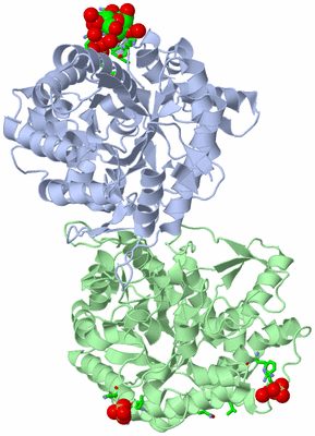 Image Asym./Biol. Unit - sites