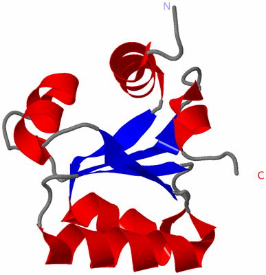 Image NMR Structure - model 1