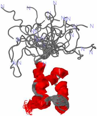 Image NMR Structure - all models