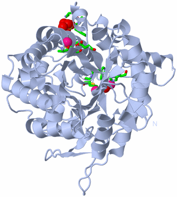 Image Biol. Unit 1 - sites