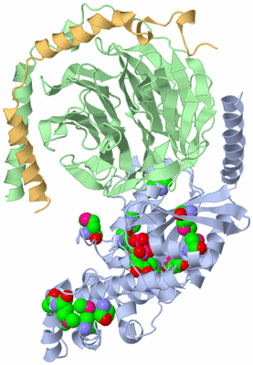 Image Asym./Biol. Unit