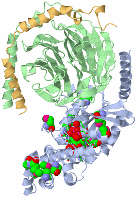 Image Asym./Biol. Unit - sites