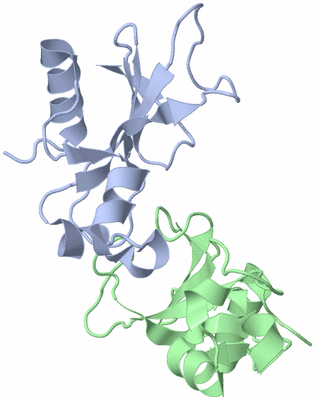 Image Asymmetric Unit