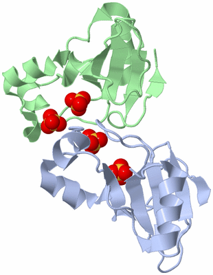 Image Asymmetric Unit