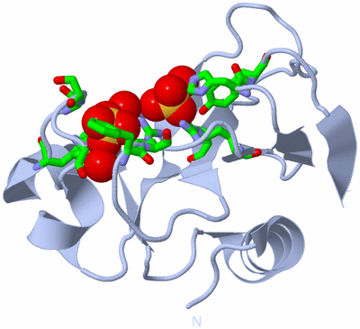 Image Biol. Unit 1 - sites