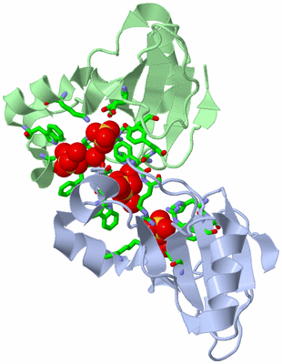 Image Asym. Unit - sites