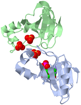Image Asymmetric Unit