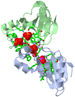 Image Asym. Unit - sites