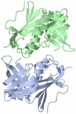 Image Asymmetric Unit