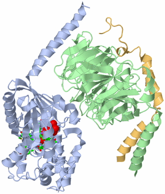 Image Asym./Biol. Unit - sites