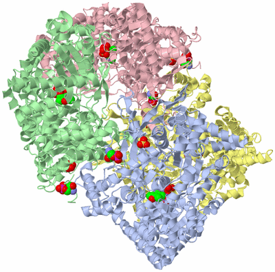 Image Biological Unit 1