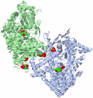 Image Biological Unit 2