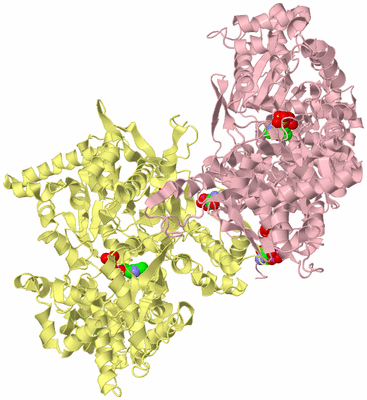 Image Biological Unit 3