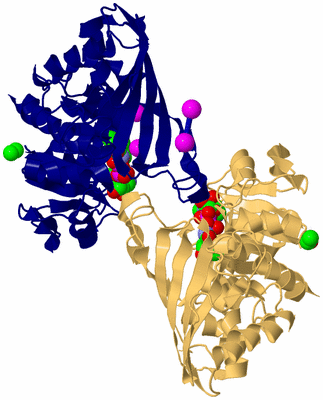 Image Asym./Biol. Unit