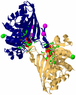 Image Asym./Biol. Unit - sites