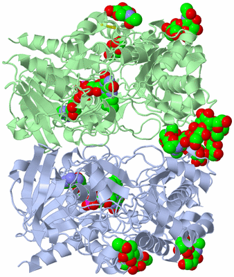 Image Asym./Biol. Unit