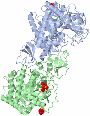 Image Asym./Biol. Unit - sites