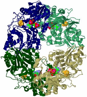 Image Biological Unit 1