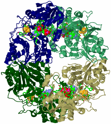 Image Biol. Unit 1 - sites