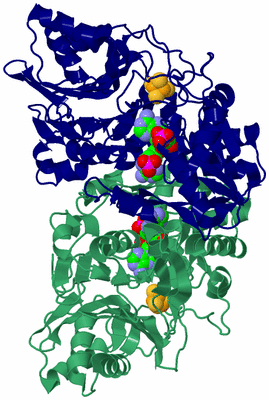 Image Biological Unit 2