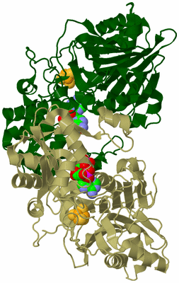 Image Biological Unit 3